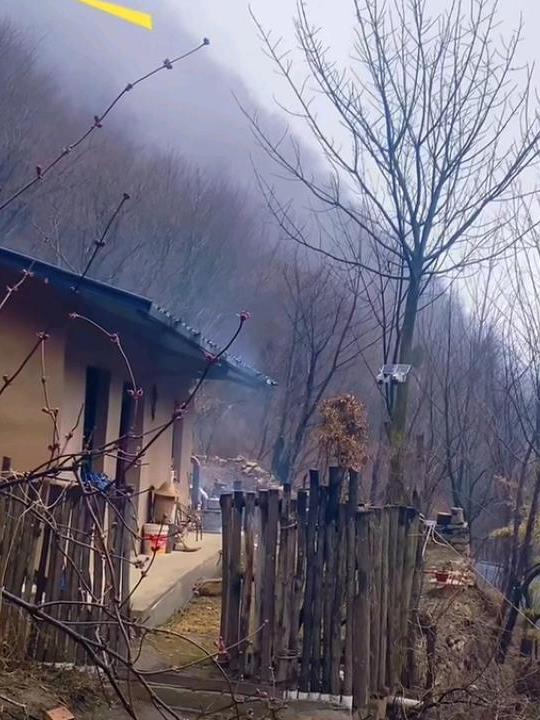长生世家，开局无敌老祖