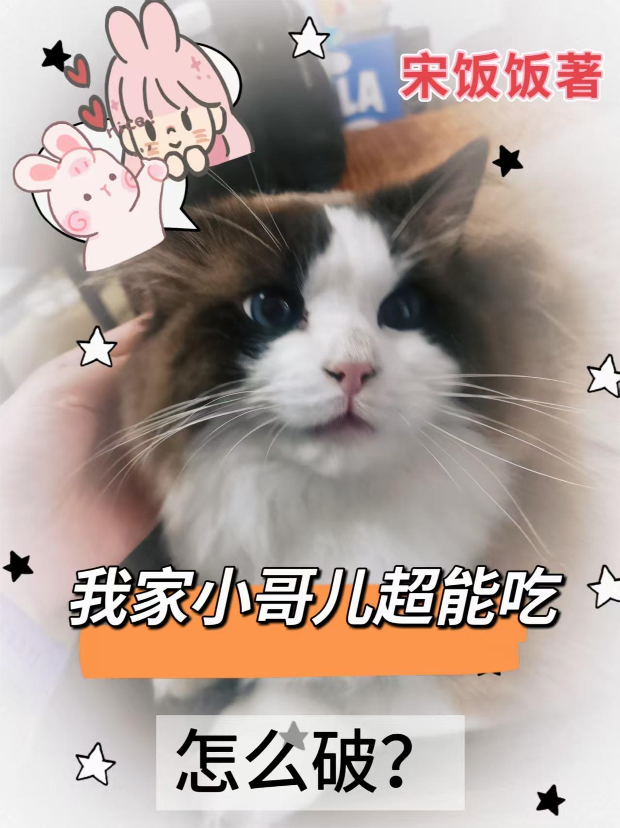 横推游戏都市，我开启外挂自选